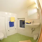 Karglhof 法克湖